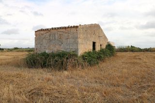 Finca rústica a Santa Margalida Poble. Finca en santa margalida