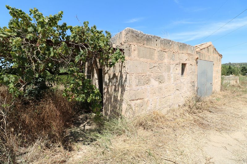 Foto 0853815a-45f2-4568-a559-84f58200b28e. Finca rústica a Petra