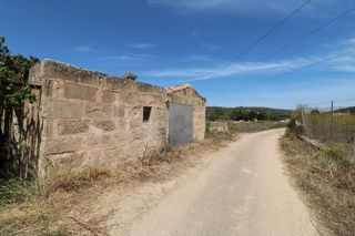 Finca rústica a Petra. Finca en petra