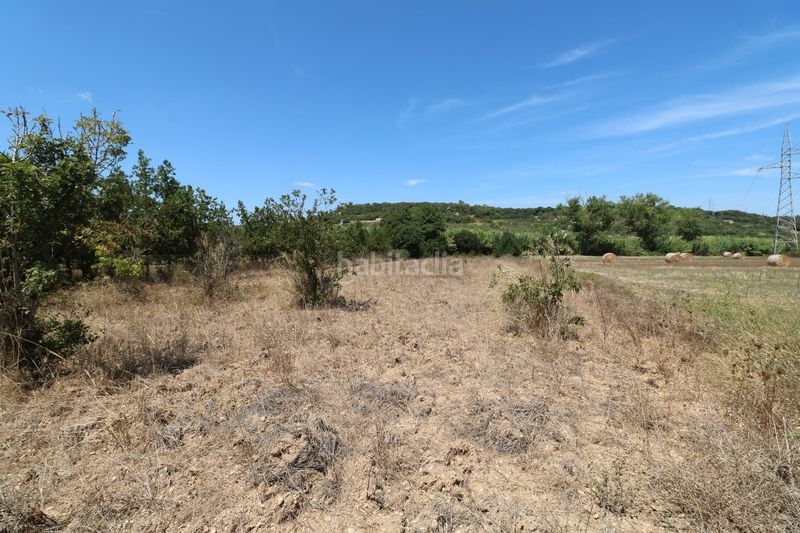 Foto 95e9c529-5930-4b6f-90a2-9568249161c3. Finca rústica a Petra