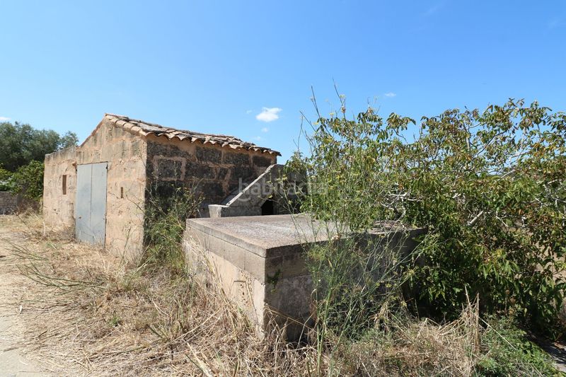 Foto fa63c173-a1e4-4b51-9814-20dd8f1a689f. Finca rústica a Petra