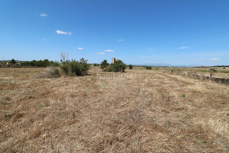 Foto 1ac56055-5314-44d2-9da8-842576470318. Masia a Petra