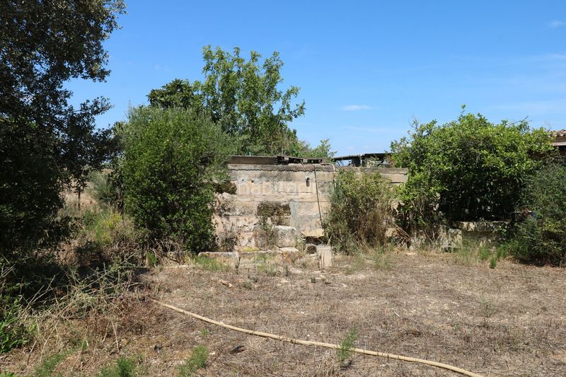 Foto 41d4f72d-077e-4d75-b18b-bbd45e599209. Masia a Petra
