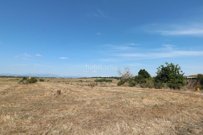 Foto 7d1b4e74-8365-45cc-b328-2781b9992781. Masia a Petra