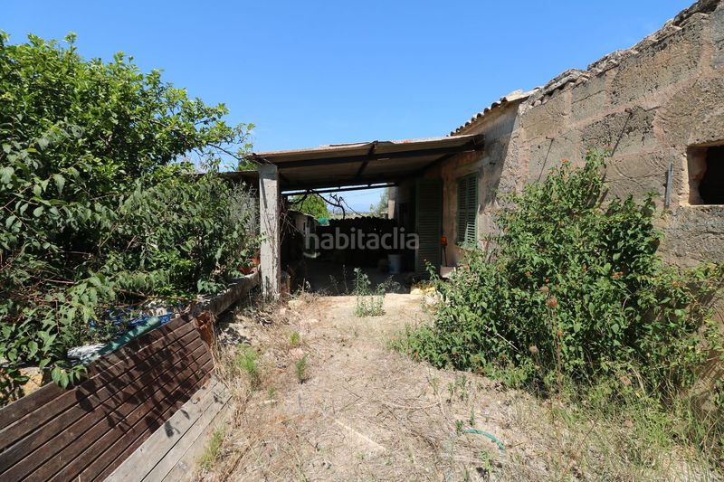 Foto a9f45b8b-529b-4e63-9af0-629d2e35d639. Masia a Petra
