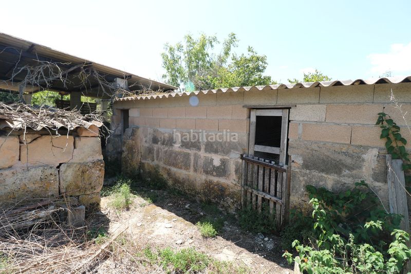 Foto b5771e63-2ba9-44a9-9799-fa5b23c7341a. Masia a Petra