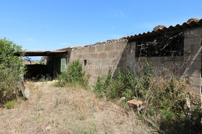 Foto be48ace9-ca63-4858-8b5b-c0e11647418f. Masia a Petra