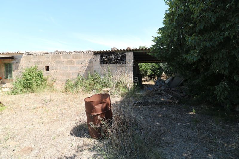 Foto c447c51d-c593-4c73-8737-d3791747f9a4. Masia a Petra