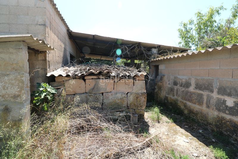 Foto c6ad8a95-bd48-4a65-8e9c-662c1e9f6d8e. Masia a Petra