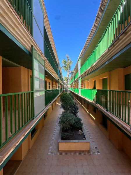 Foto 0746c79c-c92c-4ae4-b2cb-a35828b0f1aa. Apartamento venta apartamento en Eucaliptus - Poble Nou del Delta Amposta