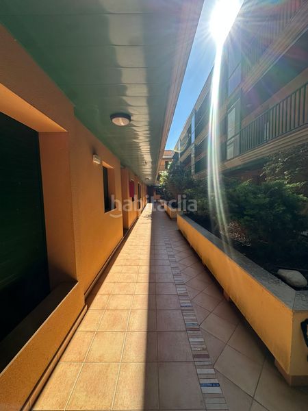 Foto 576c5443-a33d-48b3-81b6-d8c969e747b3. Apartamento venta apartamento en Eucaliptus - Poble Nou del Delta Amposta