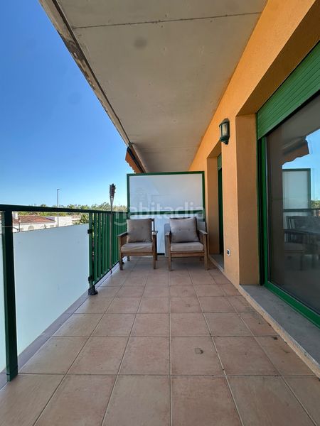 Foto 99616ff9-2aa8-4e98-bef0-cf04b121421f. Apartamento venta apartamento en Eucaliptus - Poble Nou del Delta Amposta