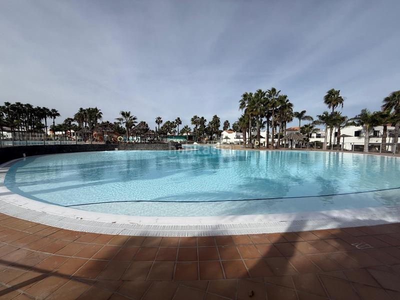 Foto 4f13d739-7908-463e-9ef7-4158e53edbd9. Piso  en venta , urbanizacion oasis dunas , Corralejo en Oliva (La)