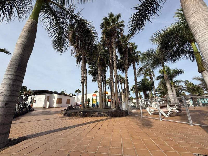 Foto 6b9f4479-4bc4-41d9-bf9f-8f0ce493d174. Piso  en venta , urbanizacion oasis dunas , Corralejo en Oliva (La)