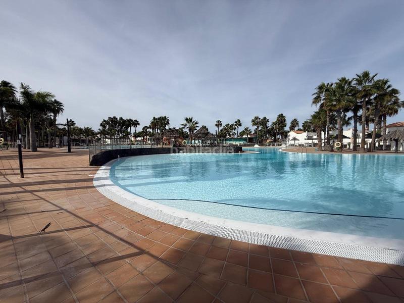 Foto c3e84ae2-76f1-41d9-8ff4-624820a2c5cd. Piso  en venta , urbanizacion oasis dunas , Corralejo en Oliva (La)