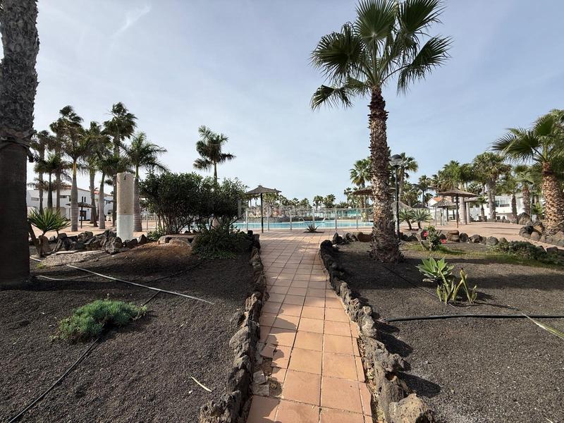 Foto ca62bb0b-c197-41e9-bd77-ed64a9c24f24. Piso  en venta , urbanizacion oasis dunas , Corralejo en Oliva (La)