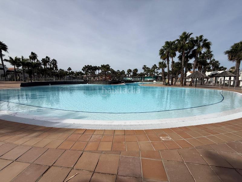 Foto d6a811a7-c709-4bb0-b457-488bd36d0ee6. Piso  en venta , urbanizacion oasis dunas , Corralejo en Oliva (La)
