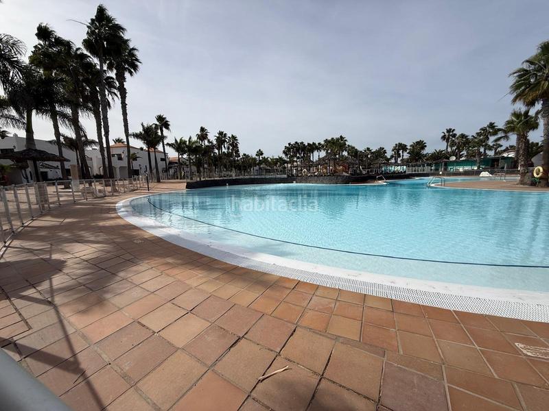 Foto d849b9f7-61c1-4519-8dd9-adfb91a5cbd1. Piso  en venta , urbanizacion oasis dunas , Corralejo en Oliva (La)