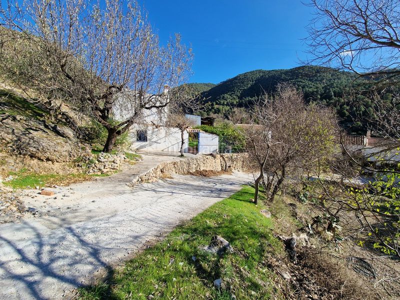 Foto 8e887a03-7802-4794-b76a-3ed1cb72f4bd. Haus in Alcaucín