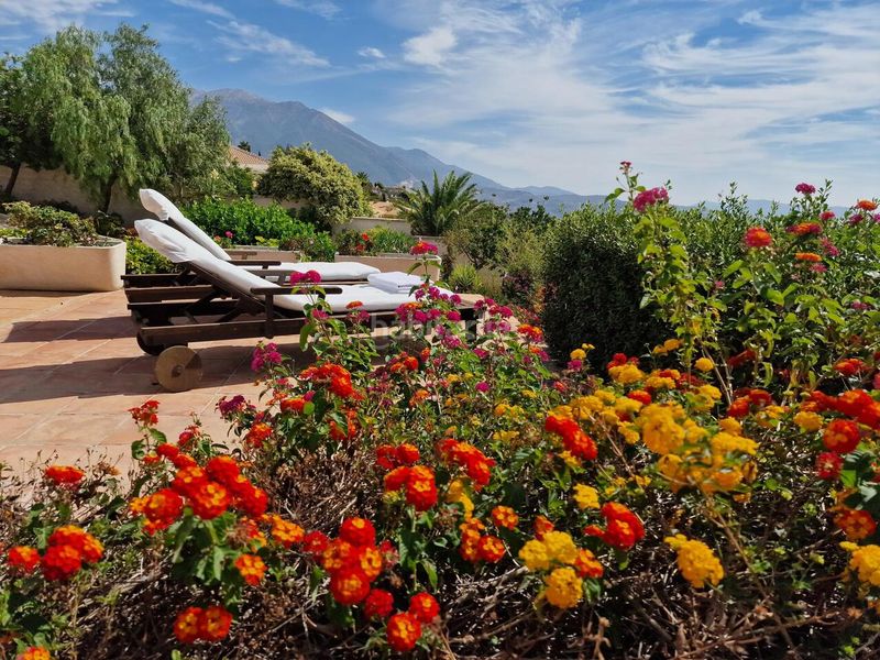 Foto fa777081-9c2e-494d-9e3d-62e4faae0be2. Casa amb piscina a Periana