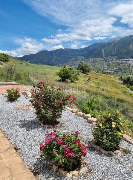 Foto 11c20bfa-54b8-4daa-b1b9-2d7fec17b805. Casa amb piscina a Alcaucín