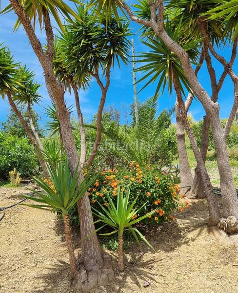 Foto 333954d8-dc14-4ed6-918b-016d8f70bcb9. Casa amb piscina a Alcaucín