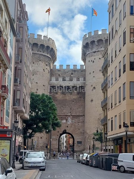 Foto a7a23124-46a5-45a9-bcbd-98d9c4e74925. Pis a El Botànic Valencia