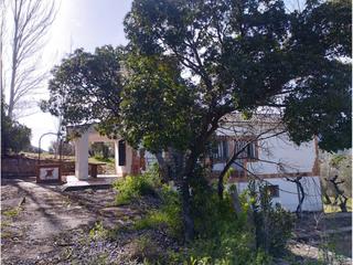 Terreno residenziale  Badajoz. Finca rustica en venta en piedrabuena13100