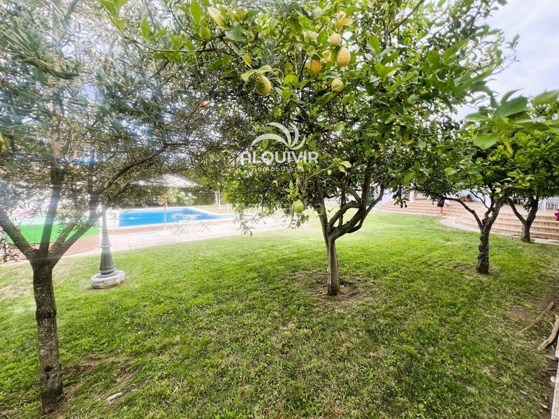 Foto 0dd30151-3a33-49ca-8759-4c2be758be0d. Xalet amb aparcament piscina a Centro - Torre de la Higuera Almonte