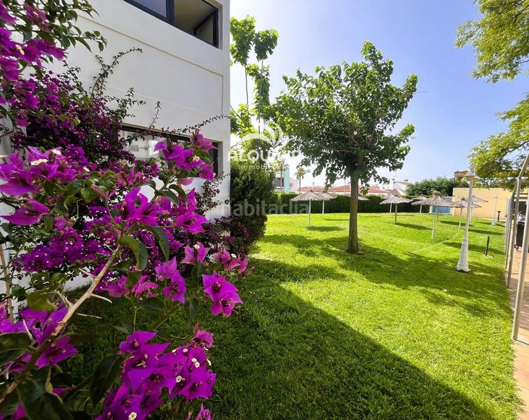 Foto 0d196132-da58-4b69-ac58-827cf5752af0. Pis amb piscina a Golf - Torre Almenara Almonte