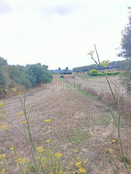 Foto 119e41d3-7915-4a75-abe0-c5d8e3789e1e. Wohngrundstück in Sant Joan