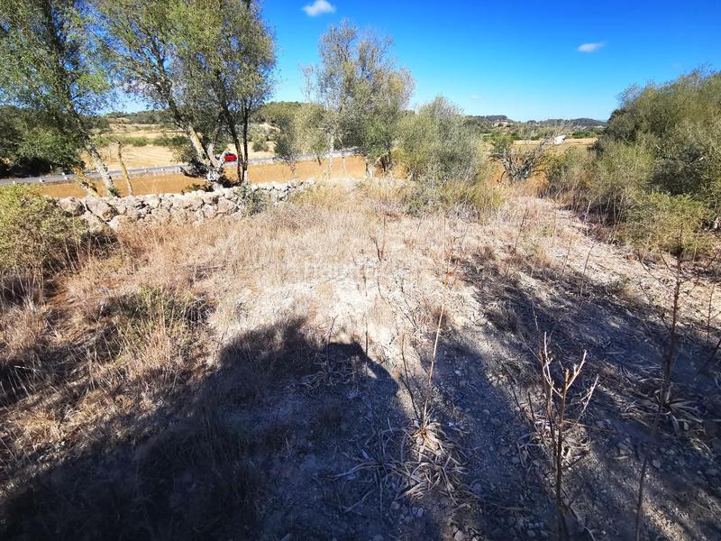 Foto 63ba901d-2e0c-43f1-ac1d-a388b1e35381. Wohngrundstück in Sant Joan