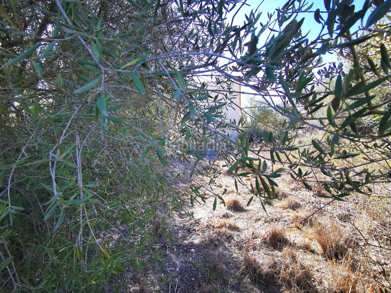 Foto 8a5004ad-fcb8-4537-a87a-a22c818cd0b8. Wohngrundstück in Sant Joan