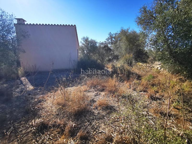 Foto 8cf043da-64d1-4f7c-8fcd-f41eeaff9b3c. Wohngrundstück in Sant Joan