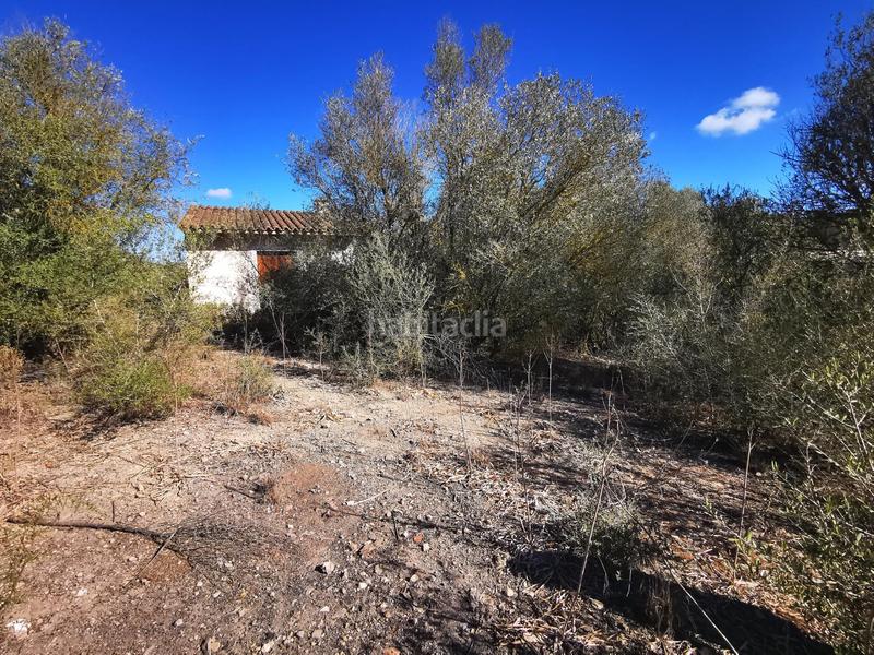 Foto 90c4f55c-921b-462e-ad17-f0134c68785e. Wohngrundstück in Sant Joan