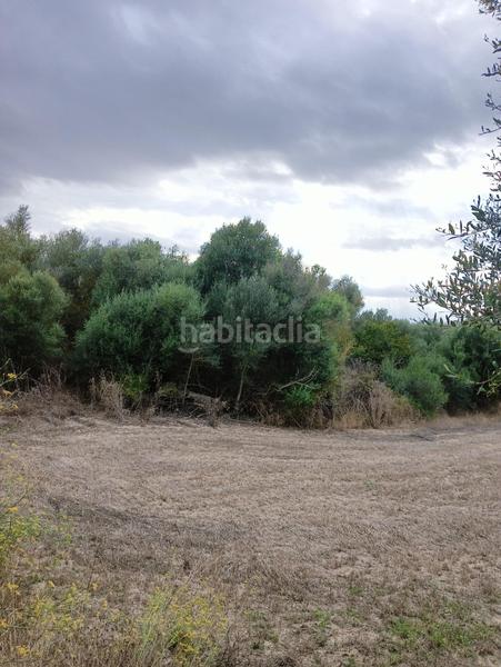 Foto b9bbbde9-cbd7-4a19-af5e-5d4825cf16e0. Wohngrundstück in Sant Joan