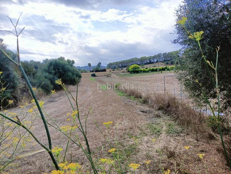 Foto bdd1930b-efc3-44c6-9515-9893bceb05a7. Wohngrundstück in Sant Joan