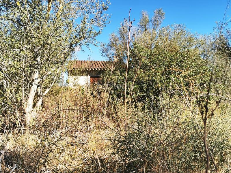 Foto c33a2f82-95bd-4e17-9870-34dc42ca492d. Wohngrundstück in Sant Joan