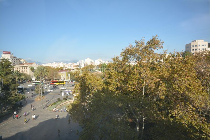 Foto 109b330a-7be4-4b42-9891-2e286514f6b9. Pis a plaça porta pintada 5 a El Mercat Palma de Mallorca