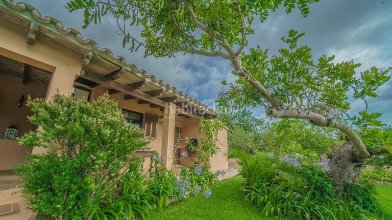 Foto ff5b1613-fae9-450d-b784-94d387b24965. Masia amb aparcament piscina a Pollença poble Pollença