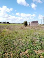 Finca rústica a Manacor Centre. Cp1203c parcela rural con facil acceso a manacor