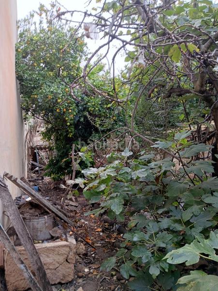 Foto 2ad3ca61-fde5-402b-9dd7-329f342787ee. Masia amb aparcament a Sa Pobla