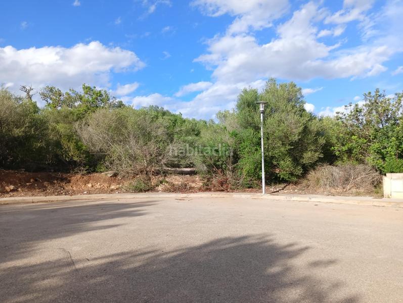 Foto 195f7f46-b2cf-4363-8884-d5cbabbac21d. Terreno residencial cp1240 terreno edificable en son talent en Manacor