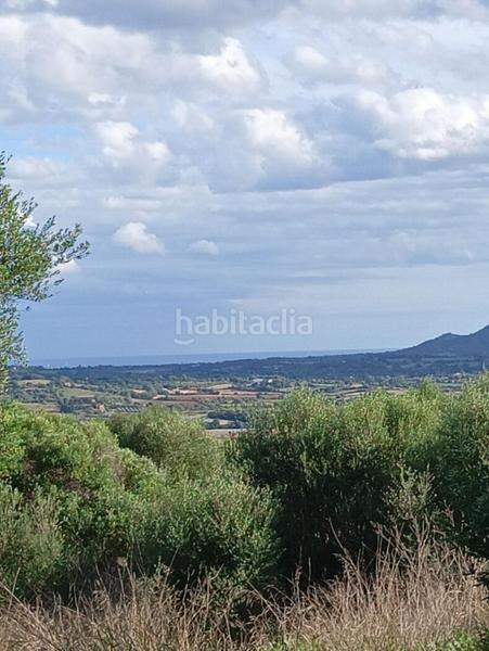 Foto 1e5b9c35-cd84-4ff3-96fc-41c55bf279a4. Terreno residencial cp1240 terreno edificable en son talent en Manacor