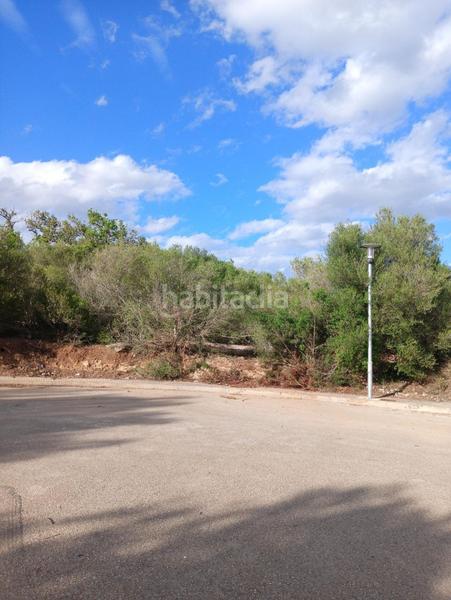Foto 248c75e8-5c6b-4bf5-83a5-2dca8c767b59. Terreno residencial cp1240 terreno edificable en son talent en Manacor