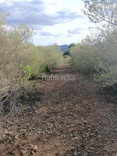 Foto 31ea7282-20a0-4412-81b8-7fdc3142c1ae. Terreno residencial cp1240 terreno edificable en son talent en Manacor