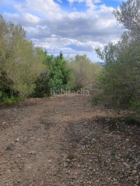 Foto 7e211b11-6bc5-4533-8f66-a4ee074fe816. Terreno residencial cp1240 terreno edificable en son talent en Manacor