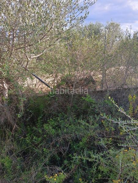 Foto de7b1b05-015f-4945-a689-3f54938a58e4. Terreno residencial cp1240 terreno edificable en son talent en Manacor