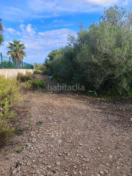 Foto e5e998bf-c69c-469f-9179-adad1c287d05. Terreno residencial cp1240 terreno edificable en son talent en Manacor