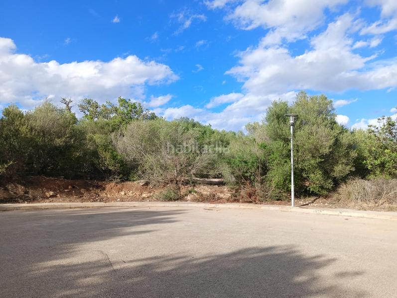 Foto f5f845a2-e920-4fd8-b1e6-97837ab60a2b. Terreno residencial cp1240 terreno edificable en son talent en Manacor